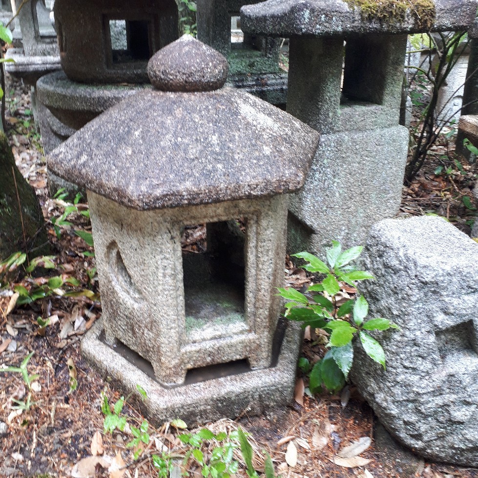 寸松庵灯篭 : 笑う門には福来る 寸松庵灯篭 : 笑う門には福来る