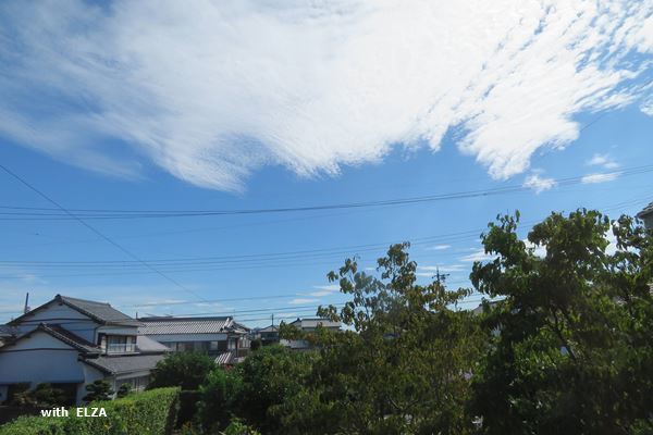 e0365941_18423360.jpg