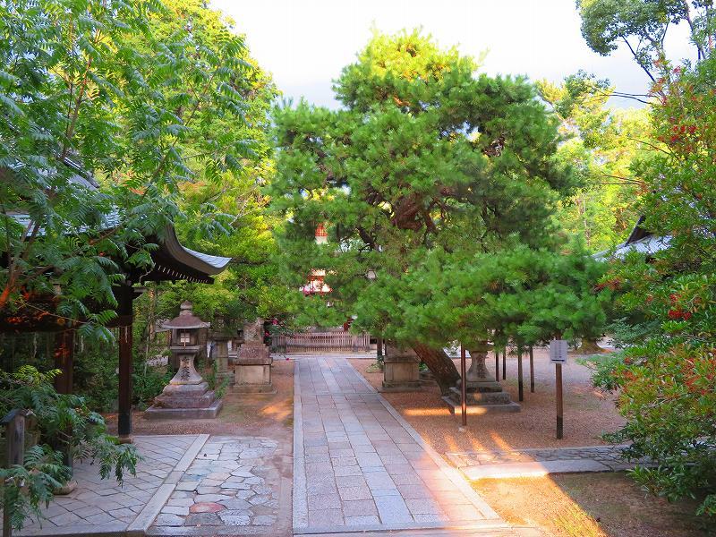 e0237645_10344253.jpg