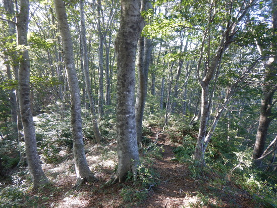 d0231858_11353468.jpg
