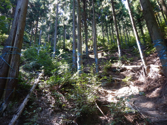 d0231858_1165084.jpg