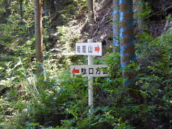 d0231858_1175979.jpg