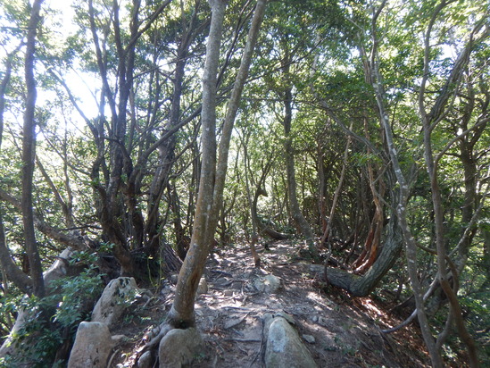 d0231858_119497.jpg