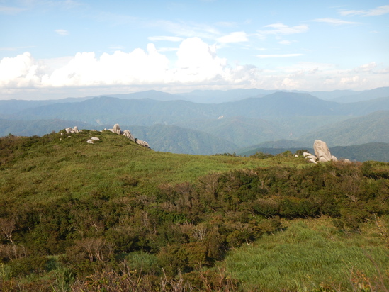 d0231858_1233691.jpg
