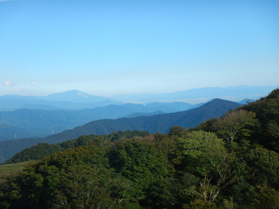 d0231858_1614725.jpg