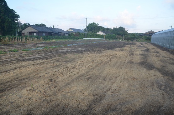 f0186462_00513501.jpg