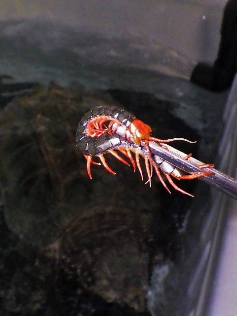 c0105569_00372756.jpg
