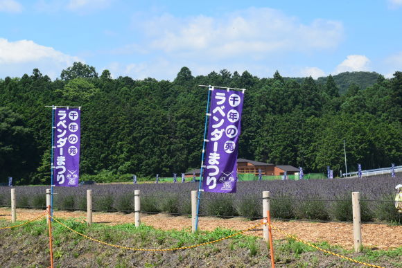 b0242873_00090697.jpg