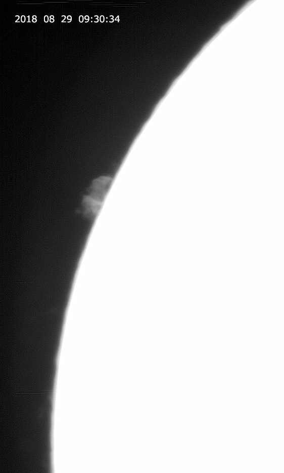 e0174091_10335871.jpg