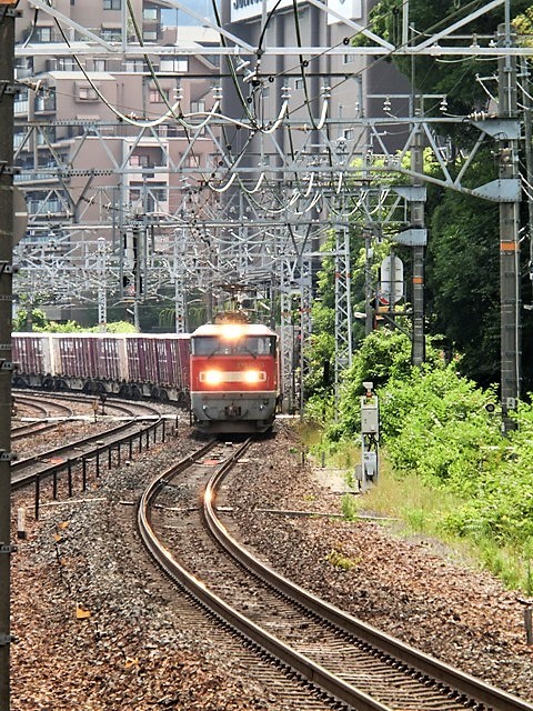d0181492_20264881.jpg
