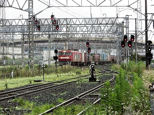 d0181492_20462892.jpg