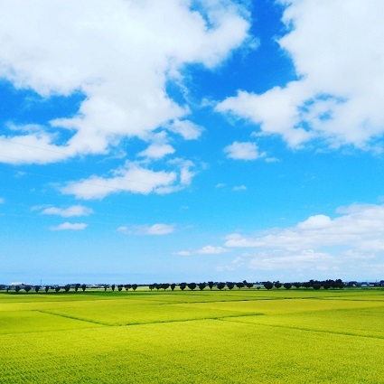 夏も終わる…。_a0045293_15030150.jpg