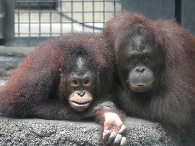 a0164204_05402824.jpg