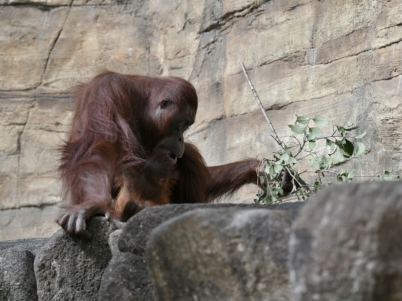 a0164204_05491071.jpg