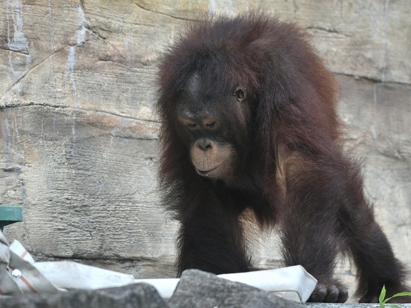 a0164204_05555484.jpg