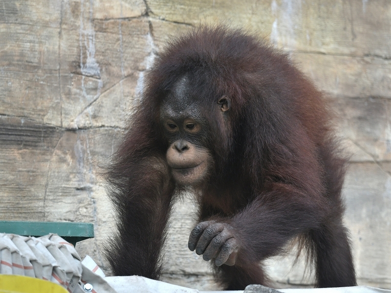 a0164204_05563844.jpg
