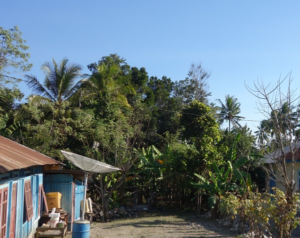 d0360509_167317.jpg