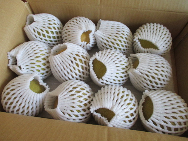 b0183111_08253138.jpg