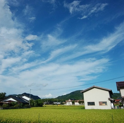 f0371014_05062806.jpg