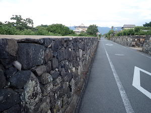 d0106518_08243045.jpg