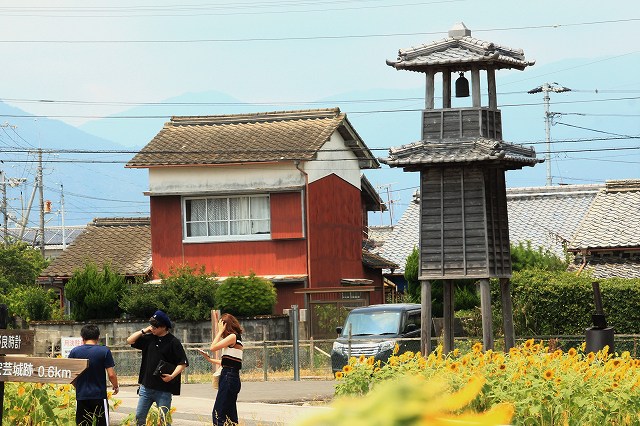 近貞悦子さんの写真です　高知県安芸の野良時計・火の見櫓とひまわり_a0300121_11405659.jpg