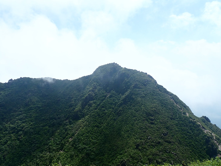f0193521_89225.jpg