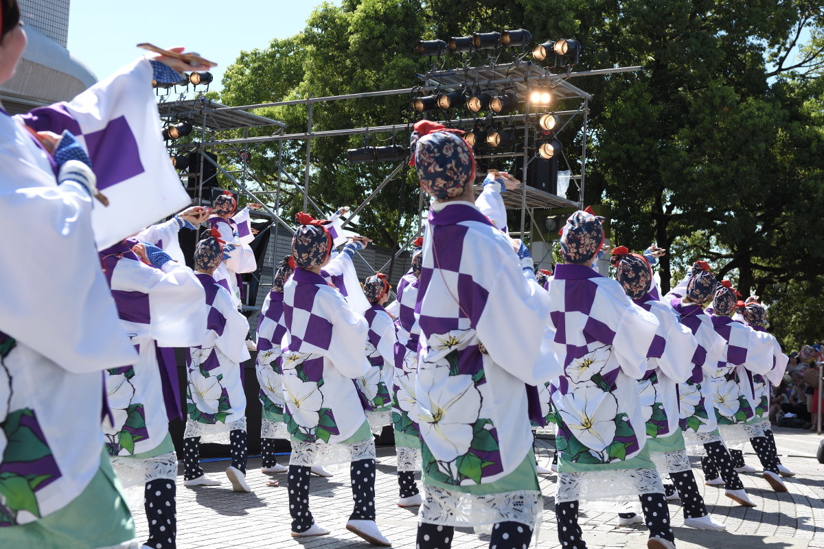 明治神宮奉納　原宿表参道元氣祭　スーパーよさこい2018　「茜丸」さん　東京都_c0276323_23041494.jpg