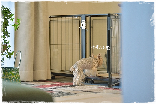 d0179828_13134461.png