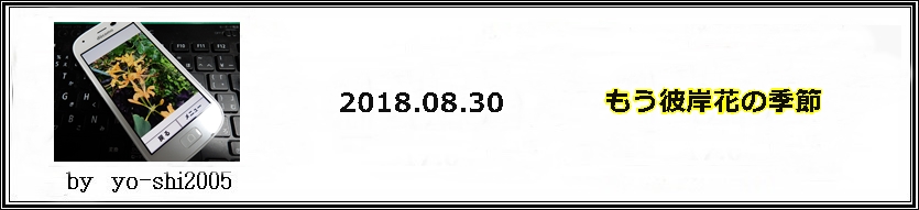 e0033229_1820788.jpg