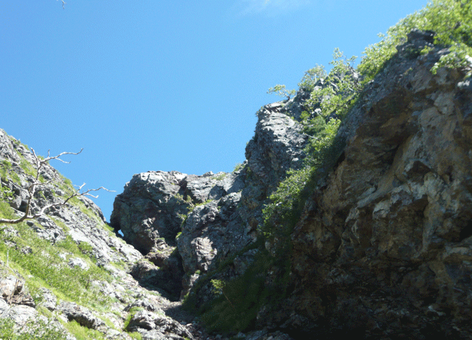 e0371039_14574532.gif