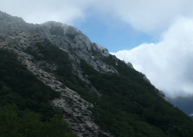 e0371039_14593693.gif