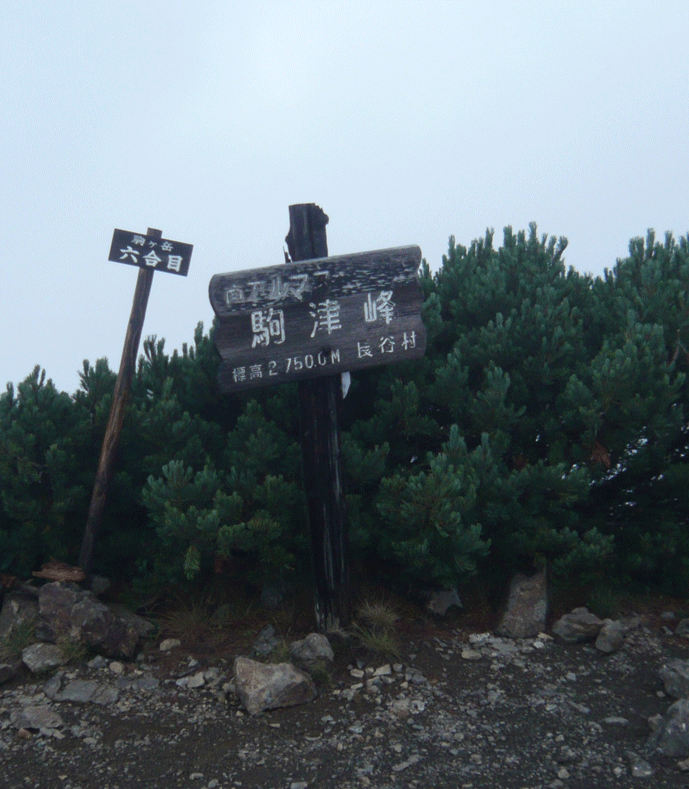 e0371039_14595237.gif