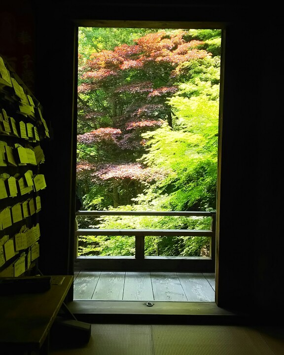 ご縁が繋がった圓教寺_c0292342_11362883.jpg