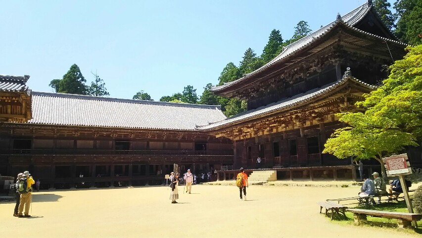 ご縁が繋がった圓教寺_c0292342_11404345.jpg