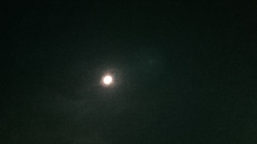 c0355744_08555002.jpg