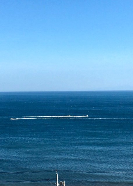 a0095746_16452966.jpg