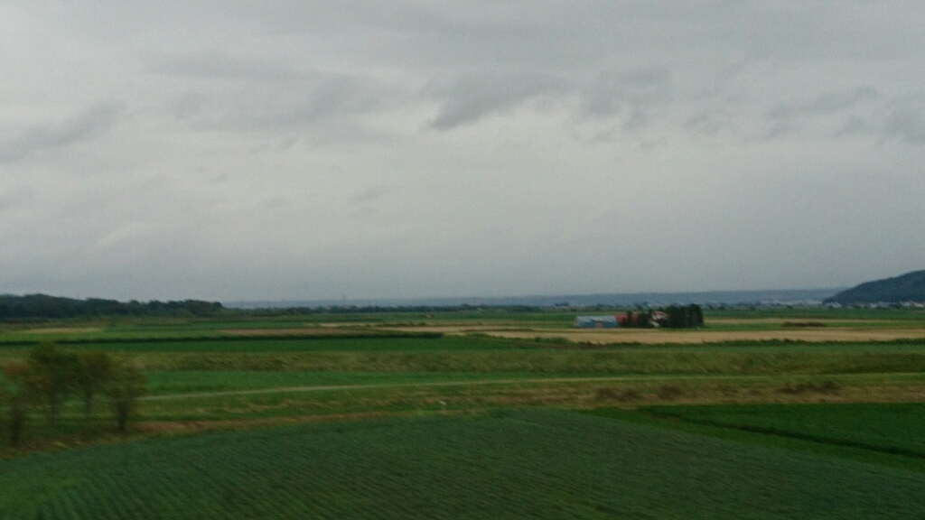 b0148050_12503039.jpg