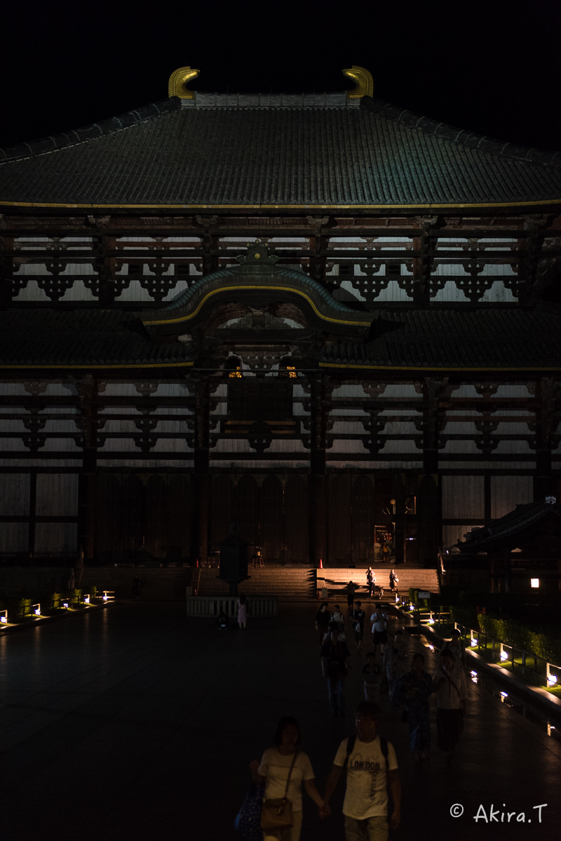 東大寺..._f0152550_21382926.jpg