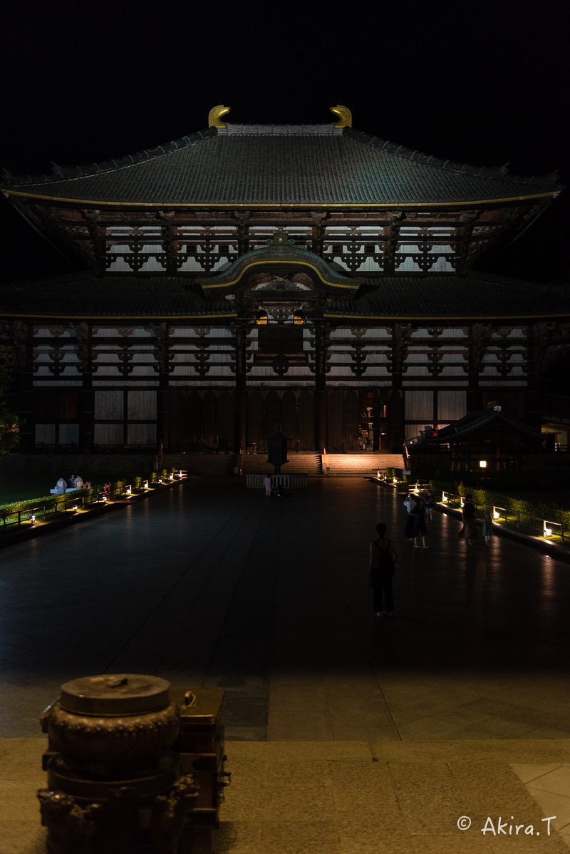 東大寺..._f0152550_21383688.jpg