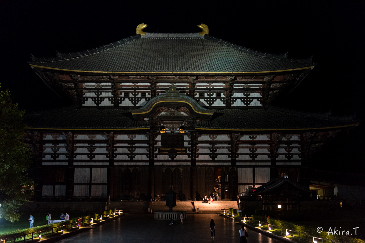 東大寺..._f0152550_21384322.jpg