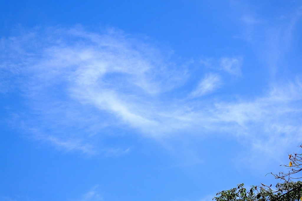 b0236251_14113239.jpg