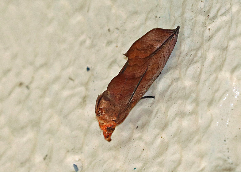 d0146854_23004746.jpg
