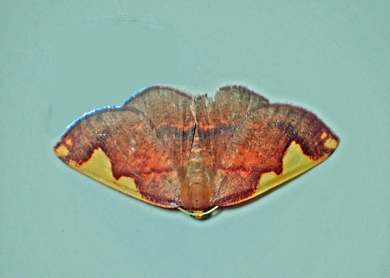 d0146854_23005204.jpg