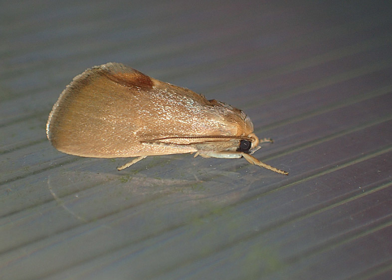 d0146854_23005380.jpg