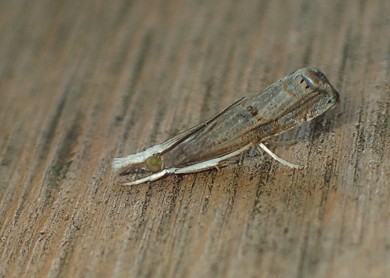 d0146854_23005780.jpg