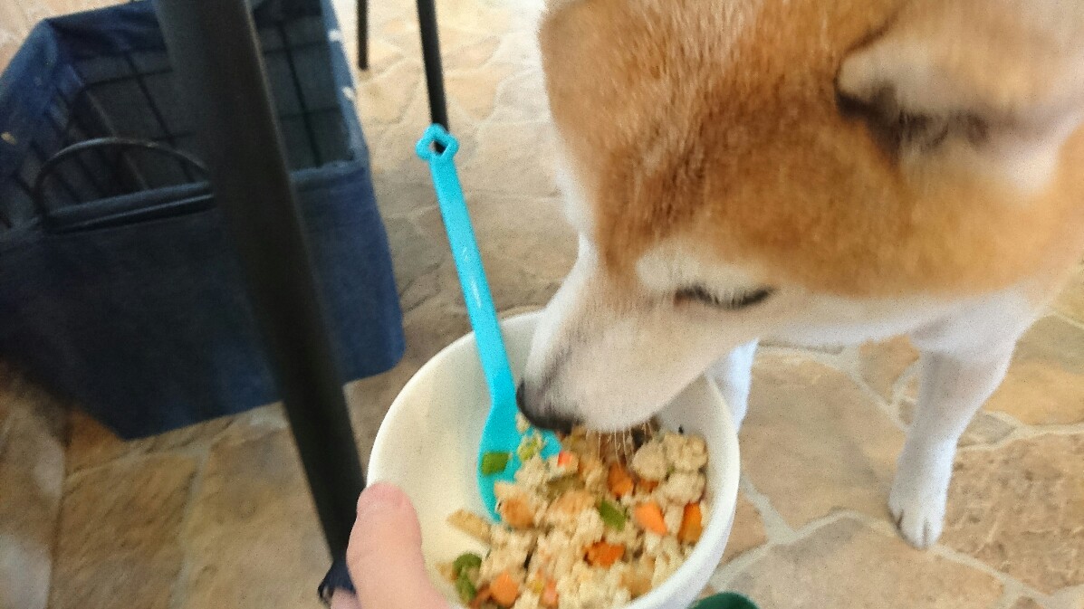 8・30 カフェフクシア_b0150665_12160553.jpg