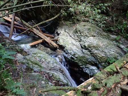 d0182075_02523709.jpg