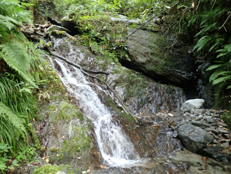 d0182075_02594601.jpg