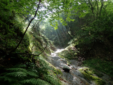 d0182075_03082692.jpg