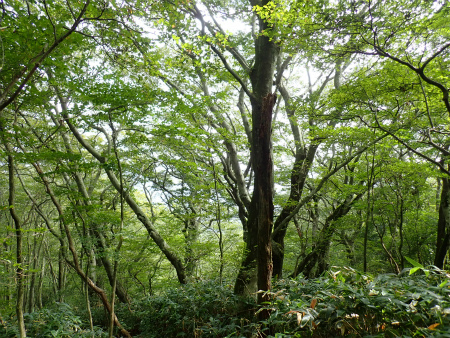 d0182075_03105236.jpg